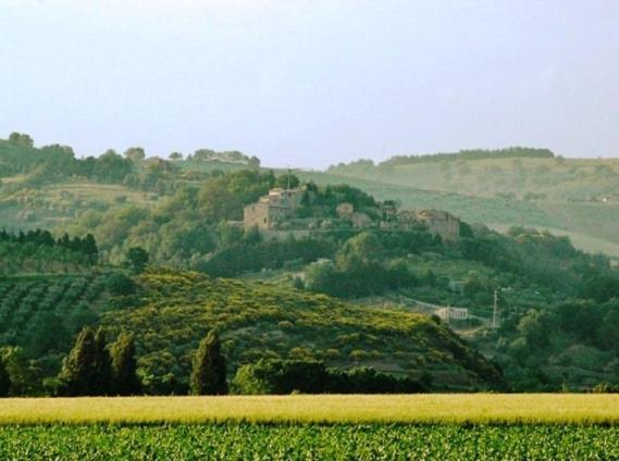 Penzion Castel D'Arno Perugia Exteriér fotografie